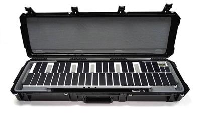 SKB MalletKAT Pro Case